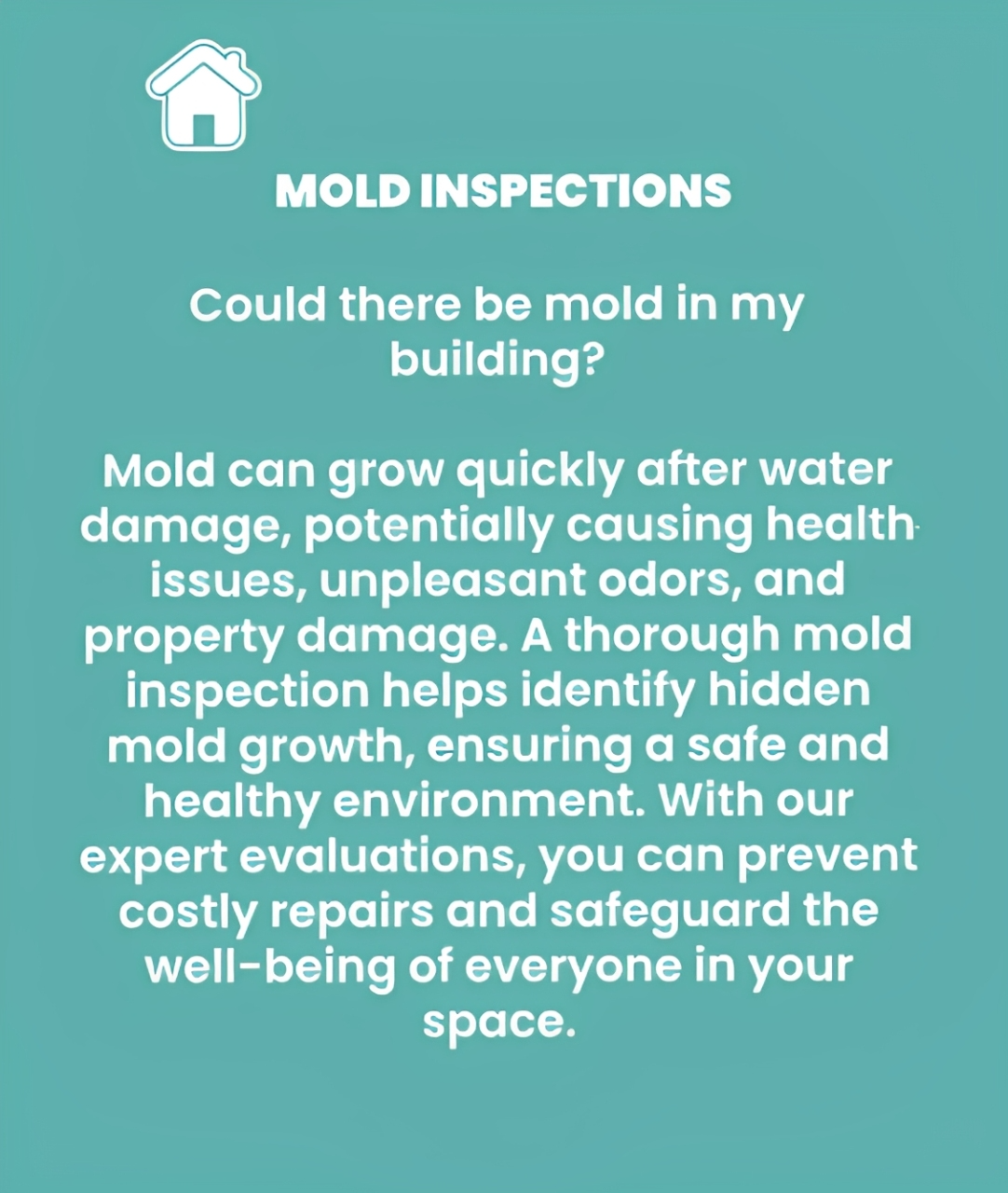 mold (1)
